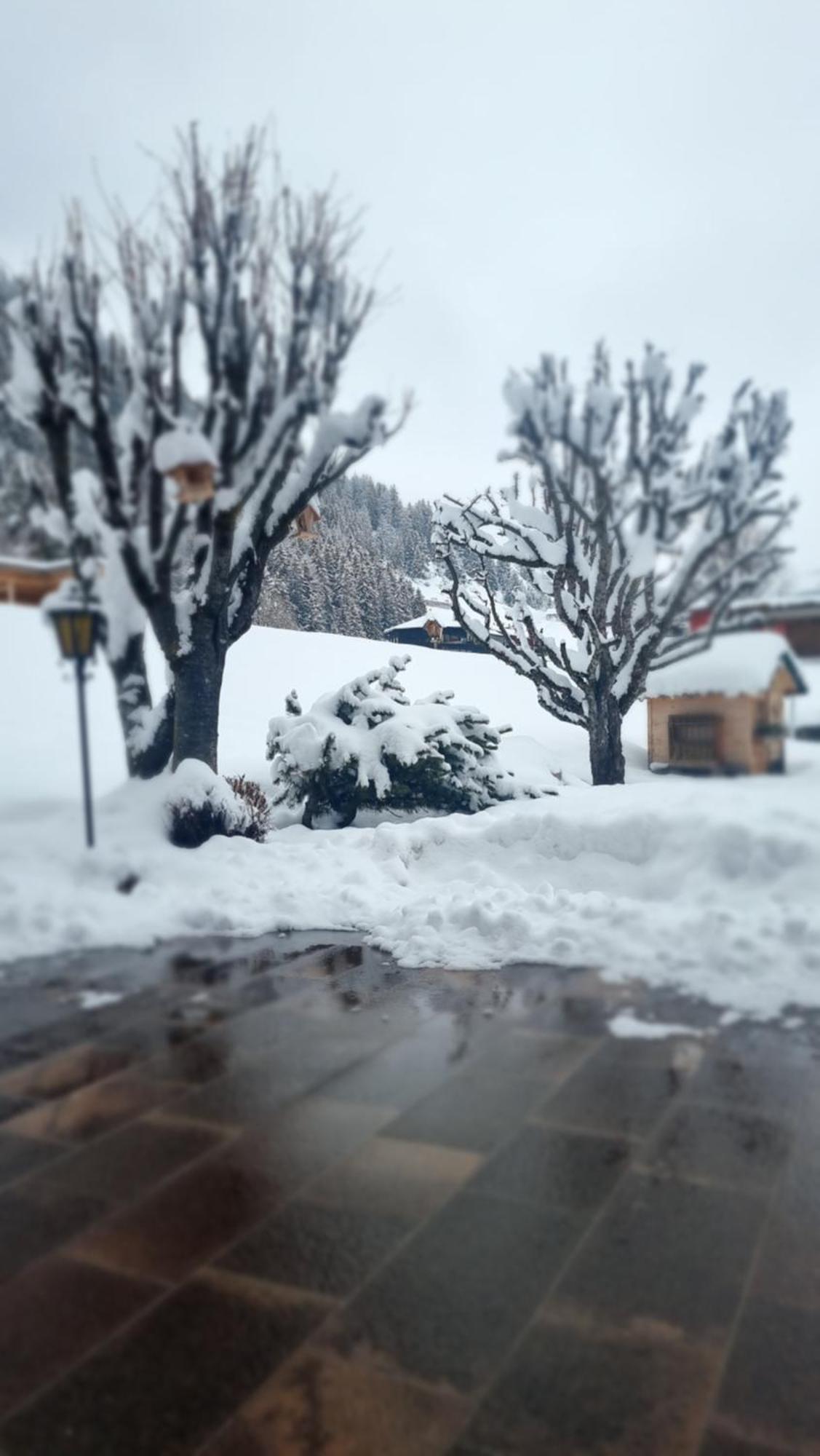 B&B Ciauceia Selva di Val Gardena Kültér fotó