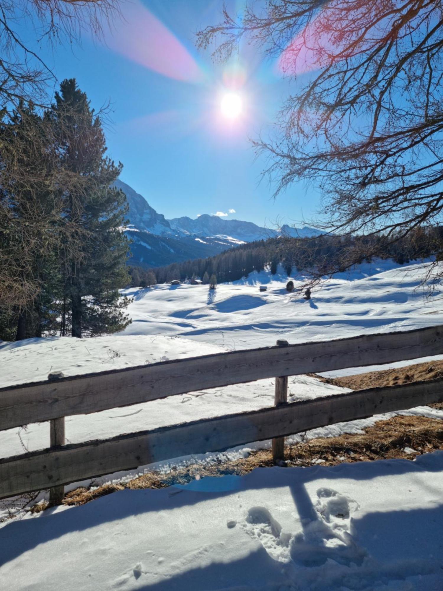 B&B Ciauceia Selva di Val Gardena Kültér fotó