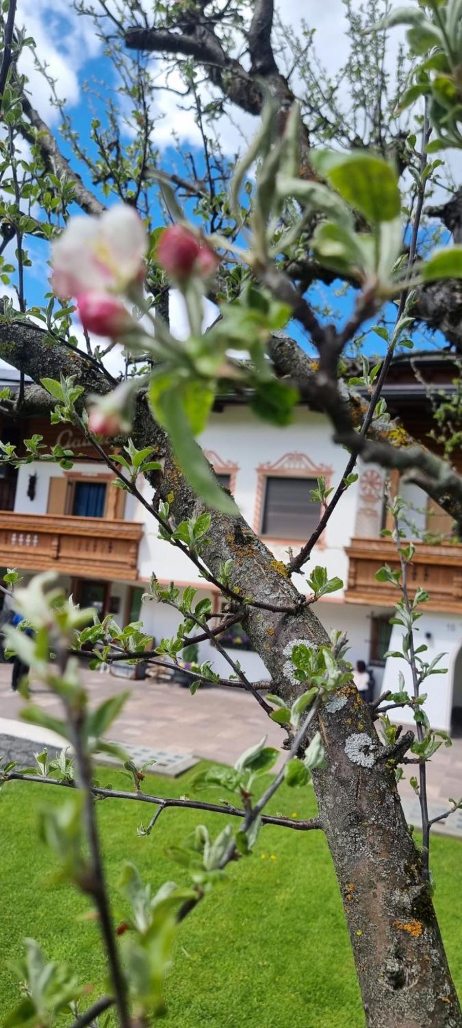 B&B Ciauceia Selva di Val Gardena Kültér fotó